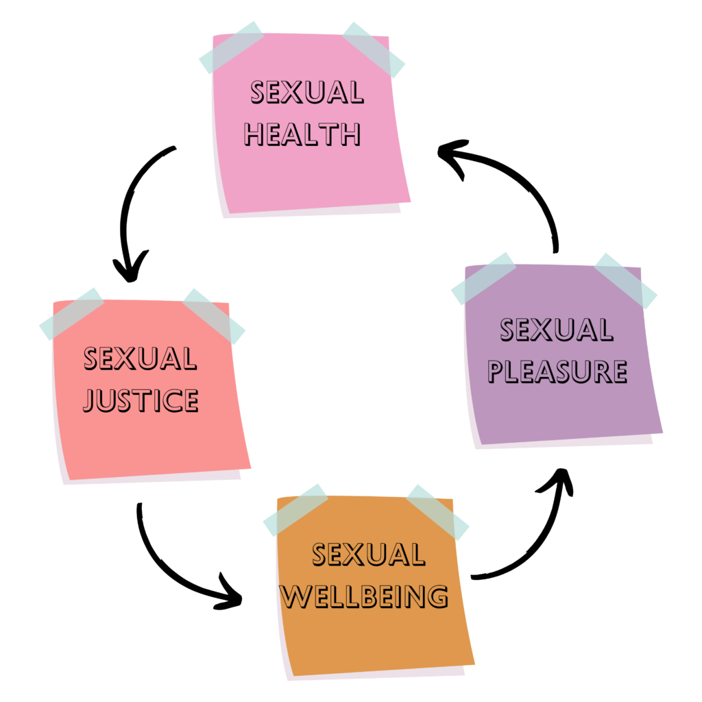 THE BASICS OF SEXUAL HEALTH THINGS YOU SHOULD KNOW